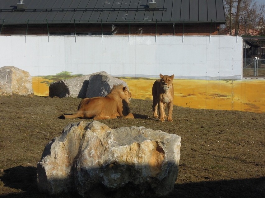 Zoo w Zamościu