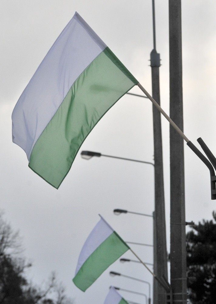 Rusza akcja promocyjna &quot;Biało-zielony Gdańsk&quot;. Flagi z barwami Lechii Gdańsk ozdobiły miasto ZDJĘCIA