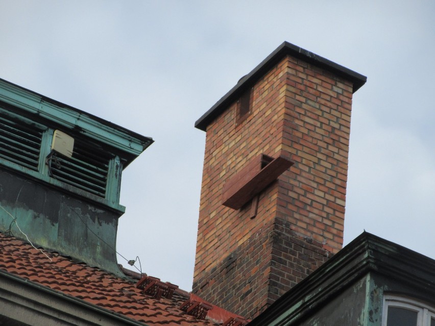 Nowy Dwór Gdański. Na dachu budynku starostwa zamontowano platformy lęgowe dla sokołów [ZDJĘCIA]