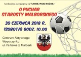 Malbork. Pierwszy raz odbędzie się Turniej o Puchar Starosty Malborskiego w Piłce Nożnej