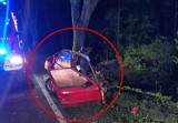 Tragiczny wypadek na DW 487 pod Gorzowem Śląskim. Samochód rozpadł się, nie żyje 25-latek