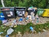 Dzikie wysypiska śmieci w gminie Prabuty! Urzędnicy biją na alarm: "Korzystajcie z PSZOK, to nic nie kosztuje"