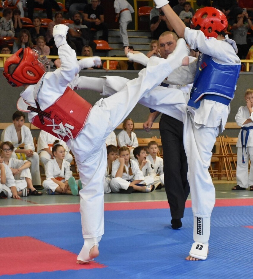 Mistrzostwa Malborka w karate kyokushin