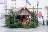 Szopka bożonarodzeniowa stanęła przed żarskim Ratuszem. Jest jeszcze jedna świąteczna dekoracja, której wcześniej nie było w Rynku