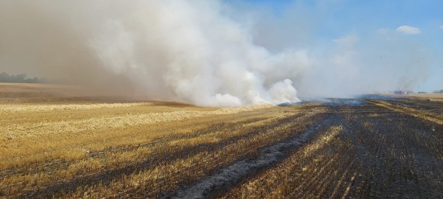 Łącznie w czterech pożarach na polach spłonęło 2,5 hektara słomy i zboża, a w działaniach gaśniczych uczestniczyły 22 zastępy