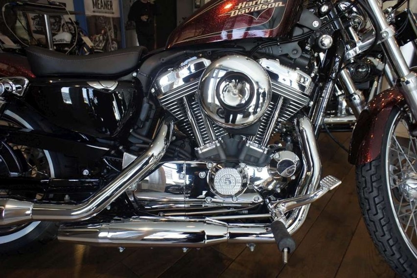 Harley-Davidson: Zobacz dwa nowe modele [ZDJĘCIA]