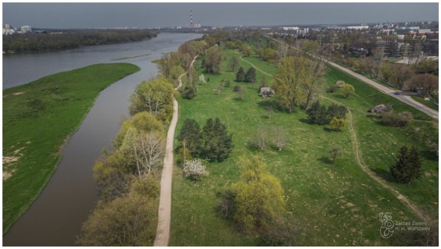 W stolicy powstanie Park Naturalny Golędzinów. Będzie większy od 90 boisk piłkarskich