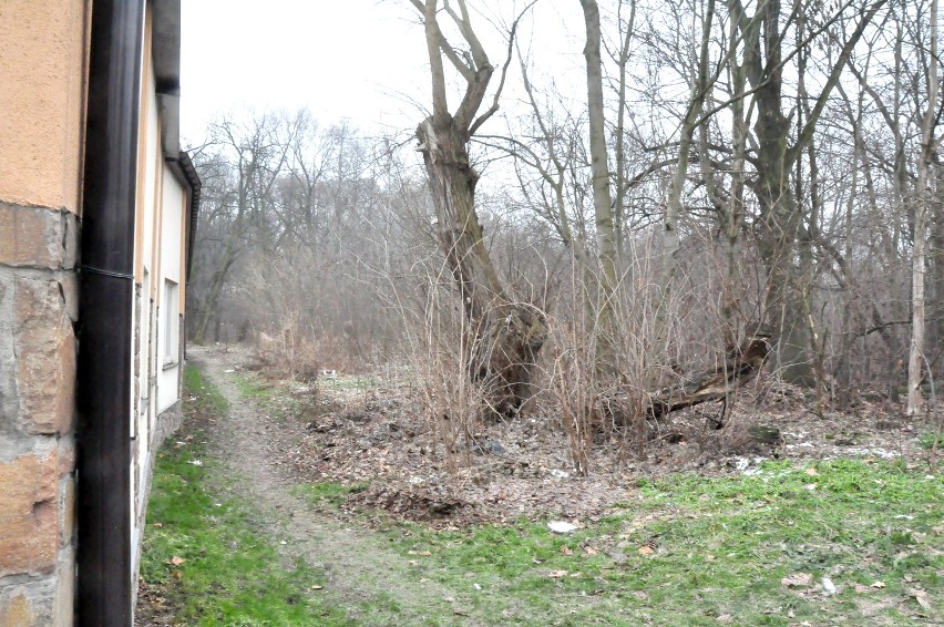 Kraków: powstanie nowy park miejski [ZDJĘCIA]