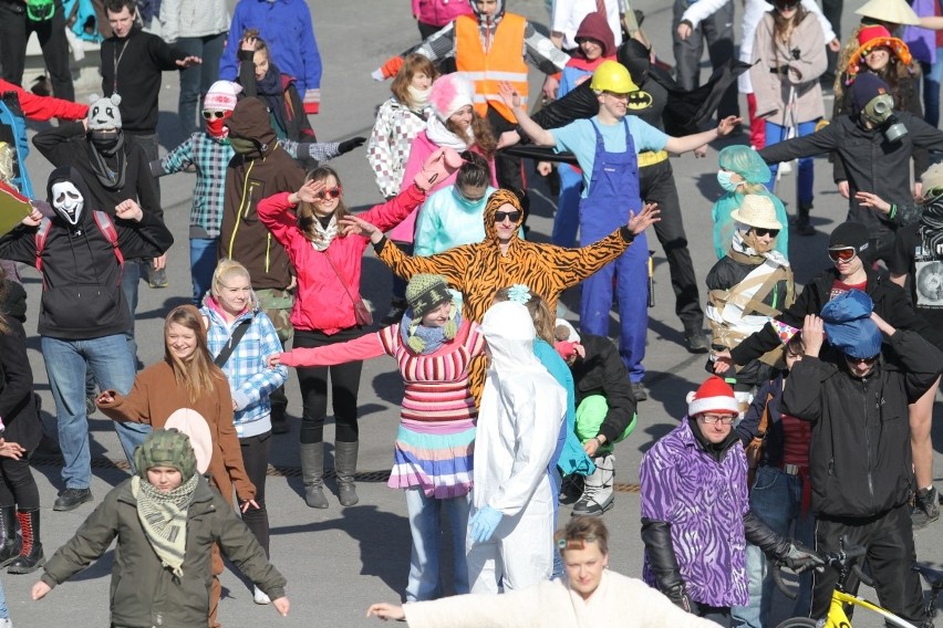 Wrocław: Największy Harlem Shake? Kilkaset osób tańczyło pod stadionem (ZDJĘCIA, FILM)