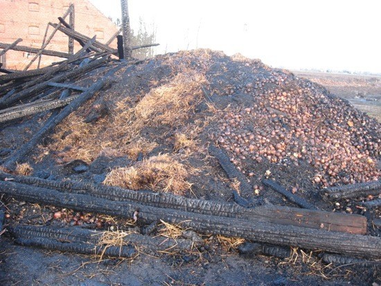 Straty w wysokości 420 tys. zł spodowodał pożar stodoły w Szałwinku