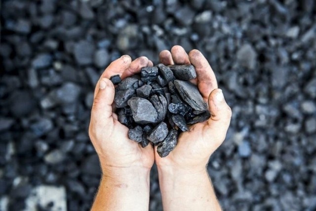 Mieszkańcy Bełchatowa i gmin powiatu deklarują, ile węgla chcieliby kupić