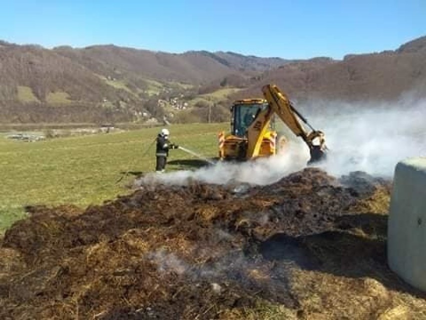 Weekend z pożarami suchych traw. Ponad dwadzieścia takich zdarzeń