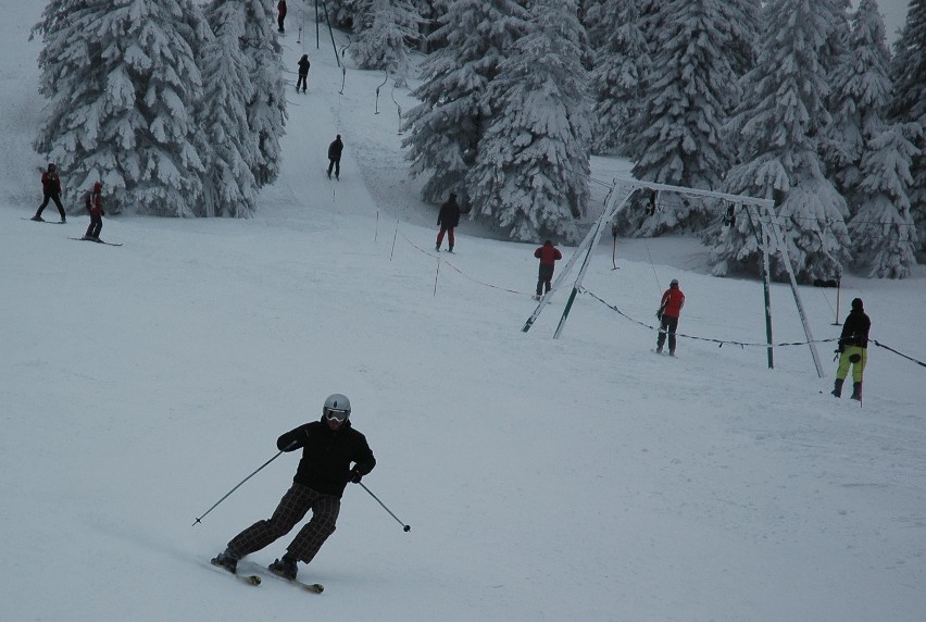 Narty w święta? Tak, w Wiśle, Korbielowie i na górze Żar [ZDJĘCIA]