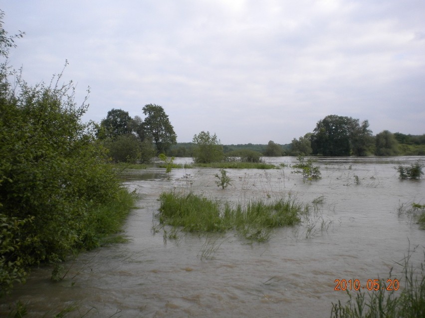 Łąki nad Odrą w Jeszkowicach koło Wrocławia