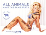 Seks w obronie praw zwierząt. PETA otwiera stronę porno! (GALERIA, VIDEO)