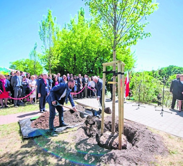 Park Skaryszewski wypięknieje. Powstanie wyjątkowy ogród polsko-niemiecki