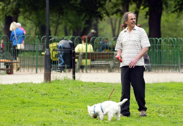 Wrocławianin Georgios Lagoritis po spacerze z suczką Gają zawsze sprawdza, czy pies nie złapał kleszcza 