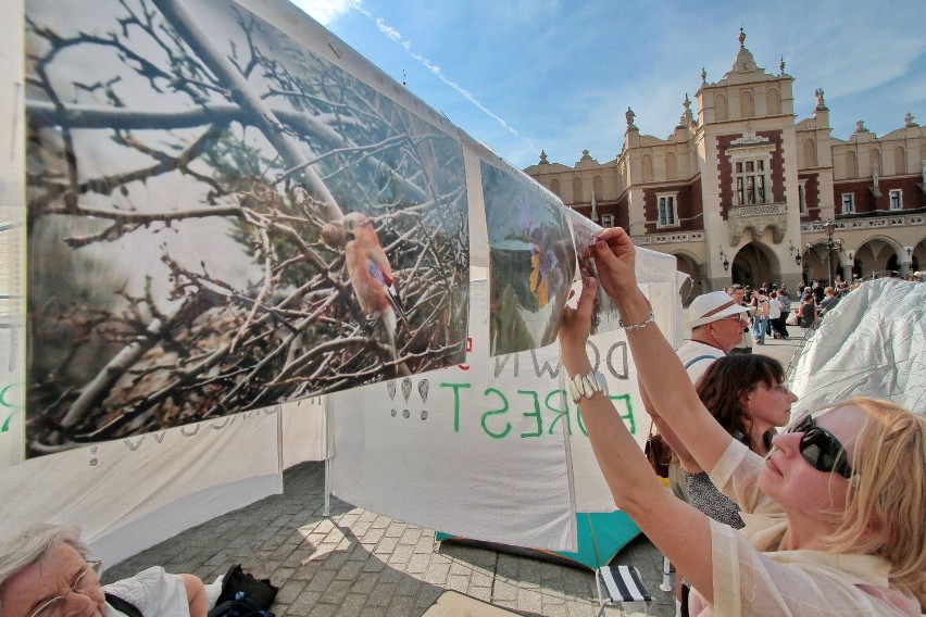 Trwa protest na krakowskim Rynku [ZDJĘCIA]