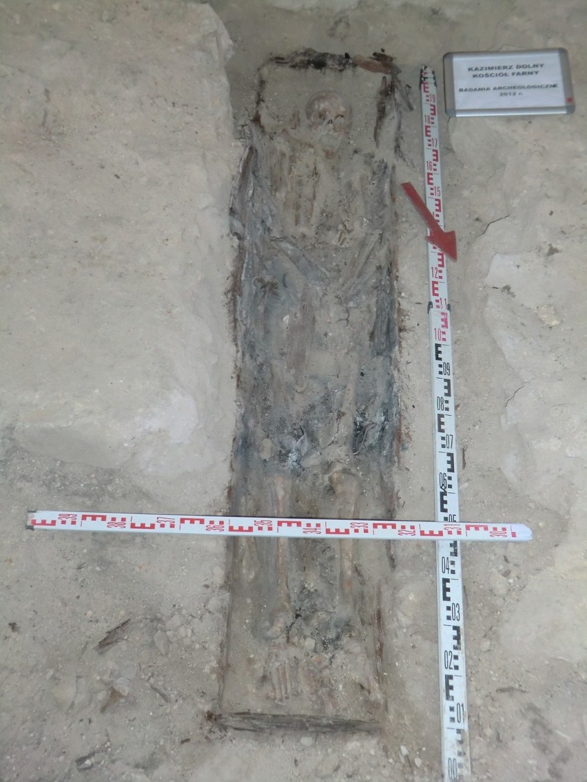 Zobacz, co odkryli archeolodzy w kościele farnym w Kazimierzu Dolnym (ZDJĘCIA)