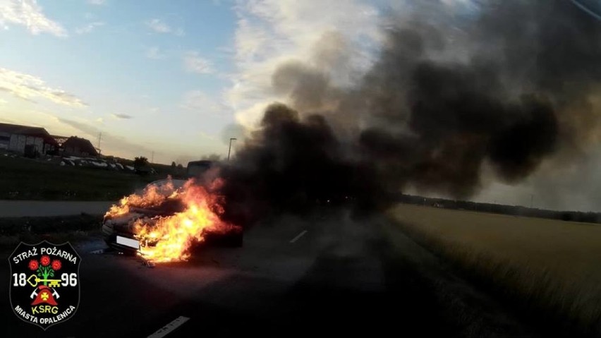 Pożar Forda Focusa na trasie Opalenica - Grodzisk Wikp.
