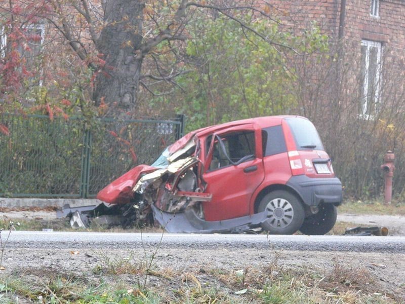 Tragiczny wypadek w Jamnie koło Łowicza. Jedna osoba nie żyje [ZDJĘCIA]