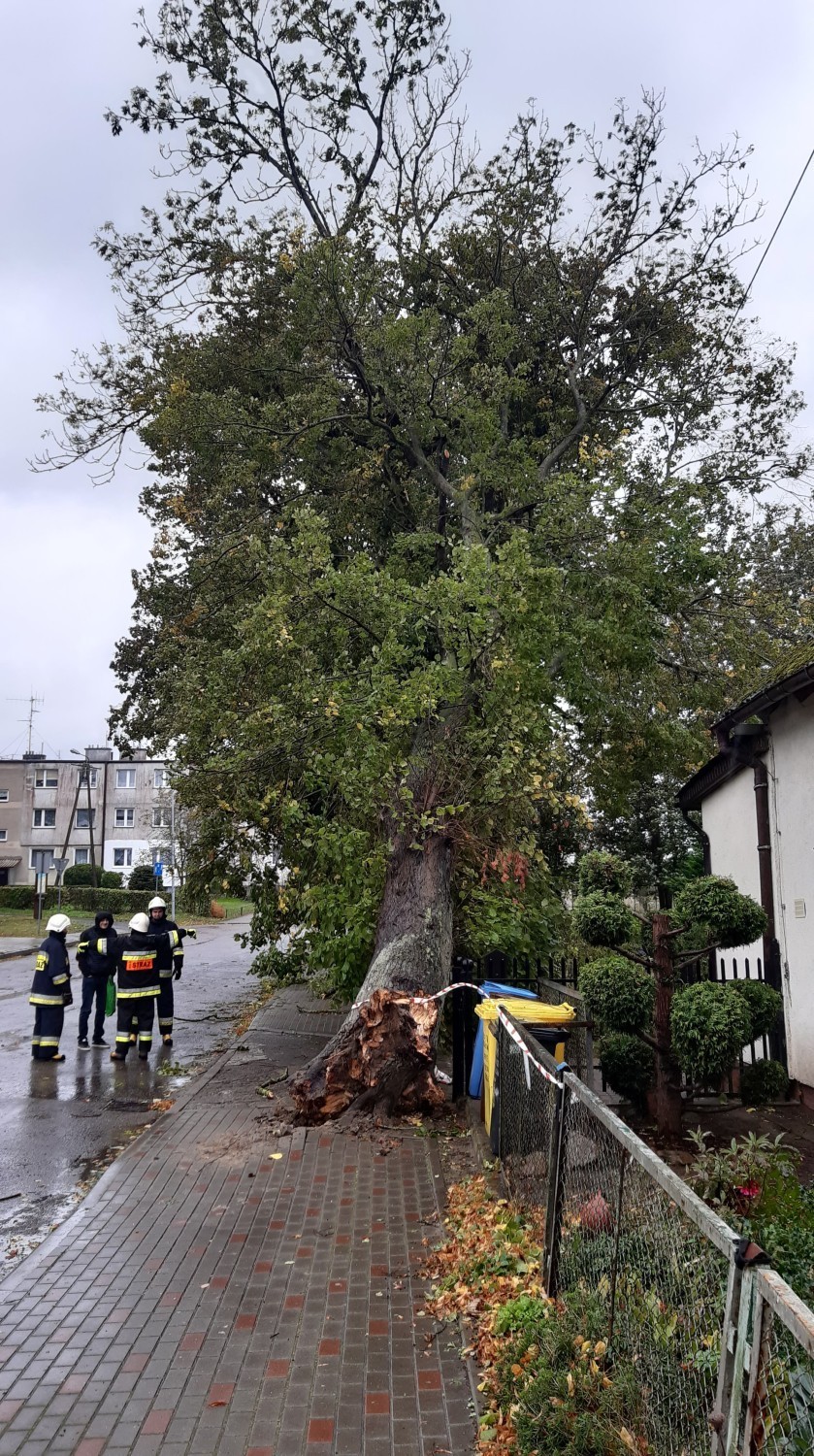 Drzewa padały na parkujące i jadące samochody. W Kołobrzegu strażacy wyjeżdżali ponad 90 razy