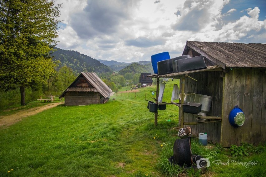 Pieniny - pomysł na letni weekend [ZDJĘCIA]