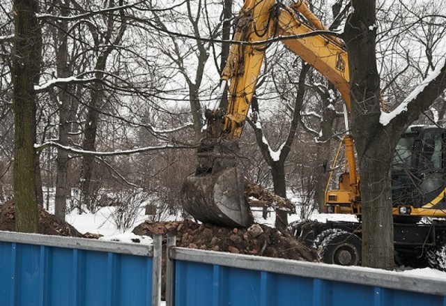 Złożą list do konserwatora zabytków, żeby chronić drzewa w Ogrodzie Krasińskich