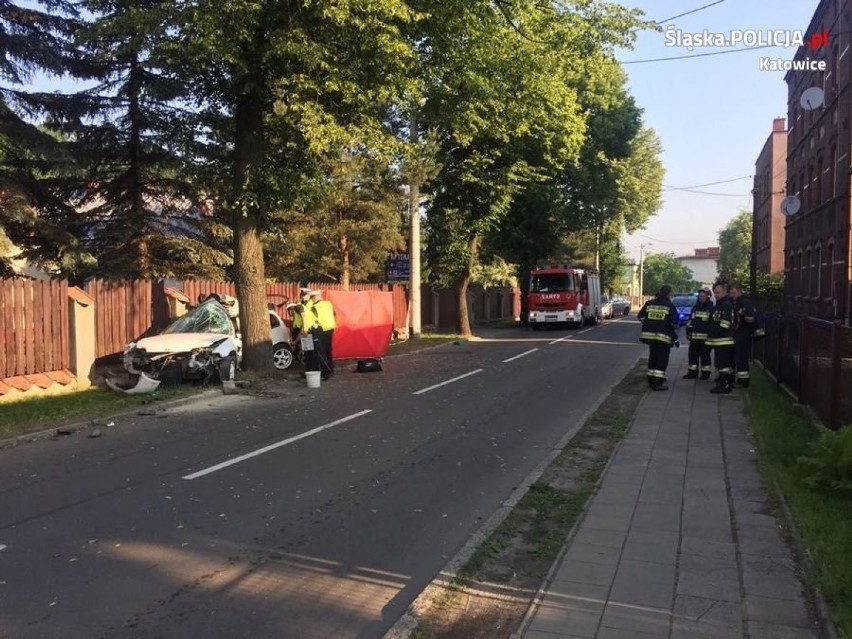 Wypadek w Katowicach. 18-latek wjechał hondą w drzewo. Zginął na miejscu [ZDJĘCIA]