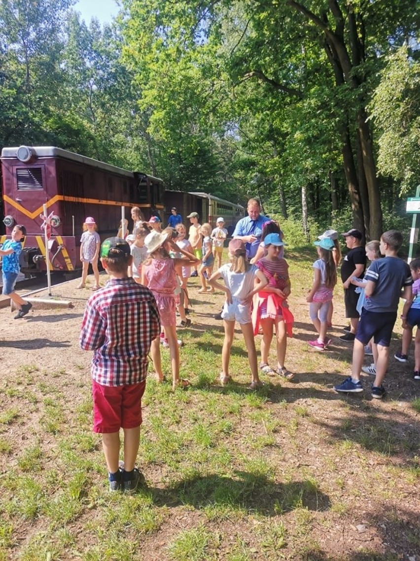 Zabytkowa kolejka wąskotorowa niedaleko Grójca organizuje atrakcyjne letnie wycieczki