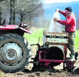 W Śląskiem pracownicy chorują najkrócej w kraju. Są na L4 11 dni rocznie