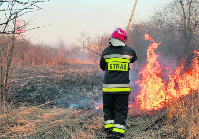 Wtorkowe wypalanie traw zagroziło hipermarketowi M-1 w Krakowie