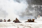 Poznań: Historyczne inscenizacje na Cytadeli zabijają nietoperze