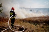 Straż pożarna z Wągrowca apeluje: nie wypalaj traw! 