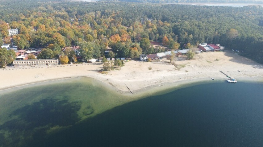 W Skorzęcinie ostatecznie potwierdzono przypadek ptasiej grypy. Co dalej?