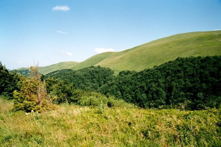 zwierzęta w Bieszczadach