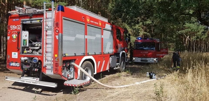 Gmina Nowy Tomyśl: Trwa plaga pożarów. W środę paliło się w Szarkach [FOTO]