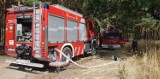 Gmina Nowy Tomyśl: Trwa plaga pożarów. W środę paliło się w Szarkach [FOTO]