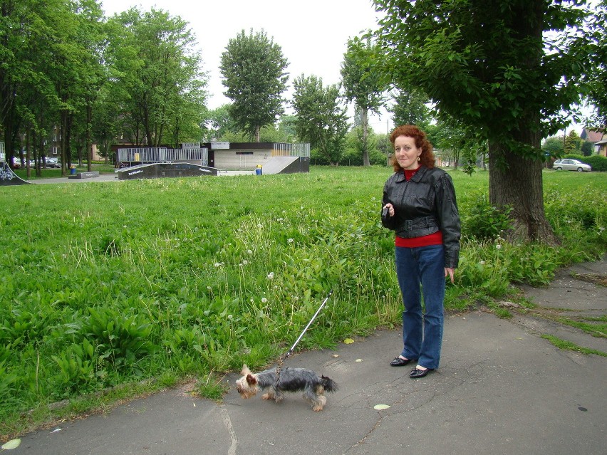 Park w Brzeszczach ma zmienić oblicze 