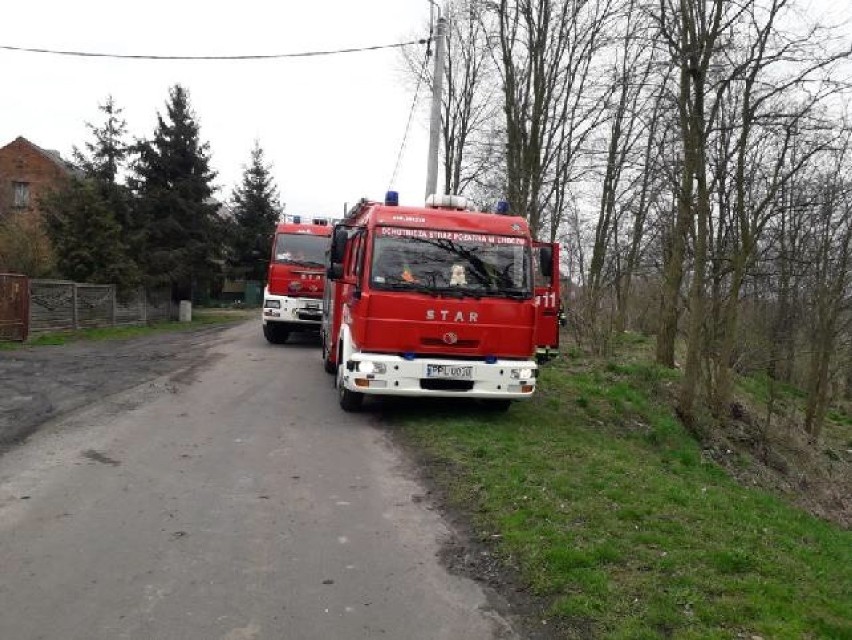 Akcja poszukiwawcza miała tragiczny finał. Ciało kobiety wyłowiony z Prosny w Kuźni