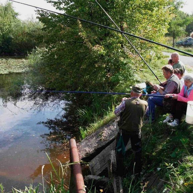 Najwięcej komarów jest tam, gdzie są stawy. Dają się we znaki nie tylko wędkarzom