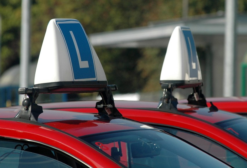 Prawo jazdy w Lublinie: Testy zdajemy lepiej niż średnia krajowa