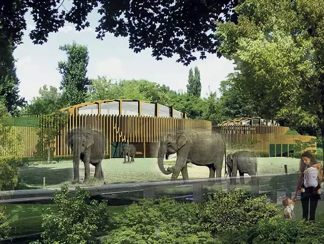 Słonie zostaną u siebie. Safari będzie dla zwierząt z naszej strefy klimatycznej.