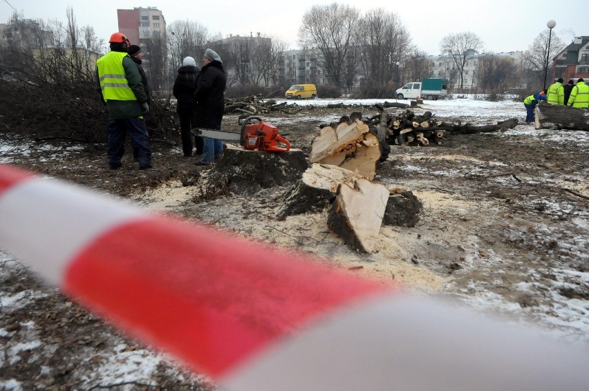 Ul. Walecznych: Mieszkańcy oburzeni wycinką drzew (ZDJĘCIA)