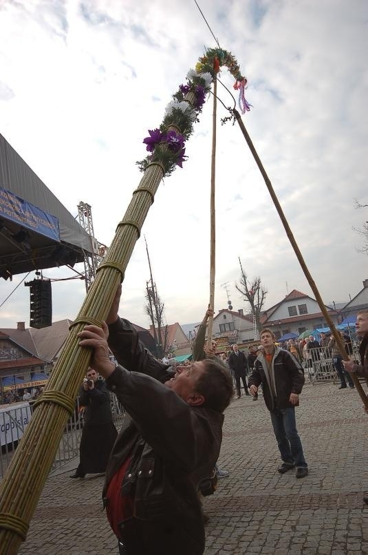 Niedziela palmowa: najwyższa palma w Lipnicy miała 36 metrów! [ZDJĘCIA, VIDEO]