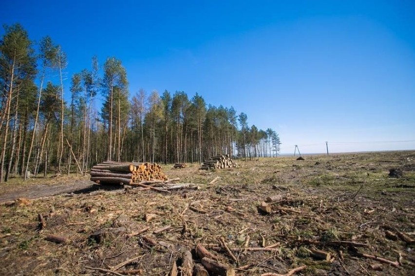 Przekop Mierzei Wiślanej - kwiecień 2019