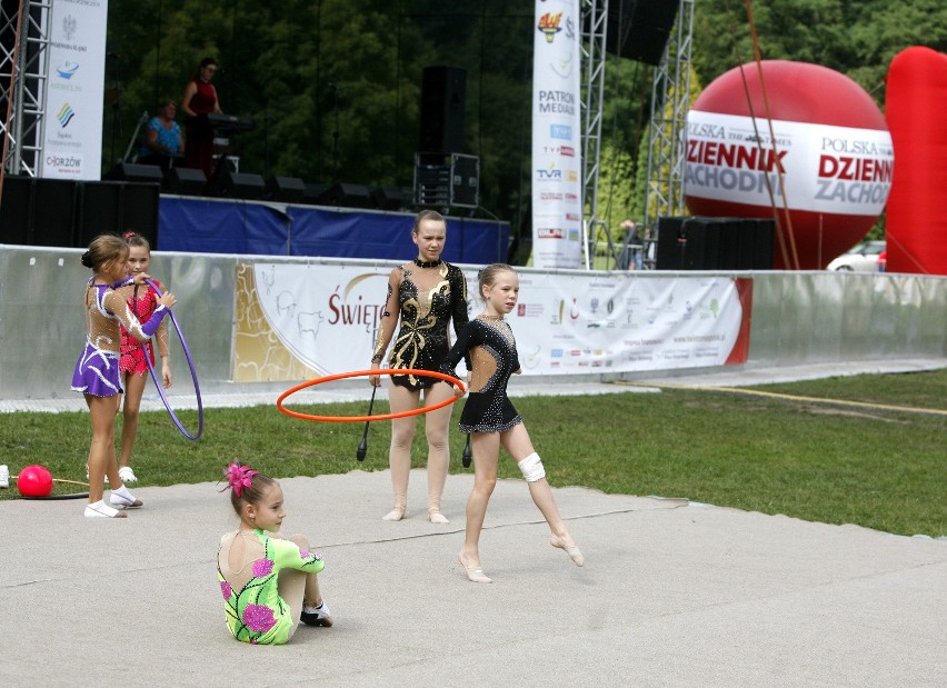 Hardkorowy Koksu na Świętomięsie w Parku Śląskim [ZDJĘCIA]