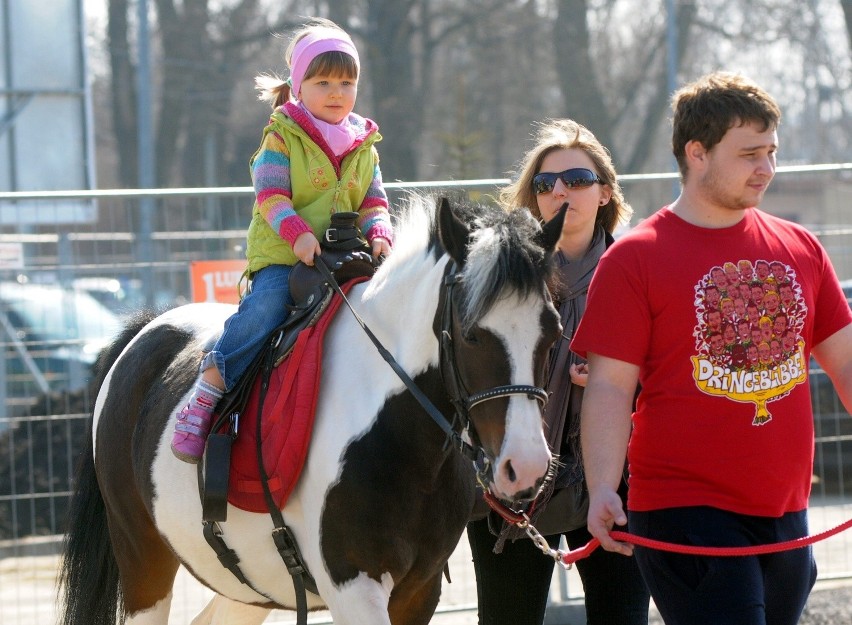 Zoopark w lubelskiej hali targowej (oglądaj ZDJĘCIA)