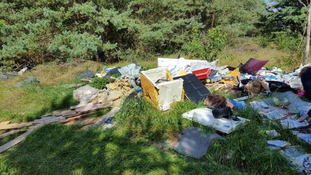 Śmieci znalezione w lesie w okolicy Wypalenisk pod Bydgoszczą