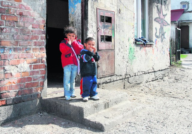 Romowie z osady przy ul. Zawiszy Czarnego żyją w skandalicznych warunkach